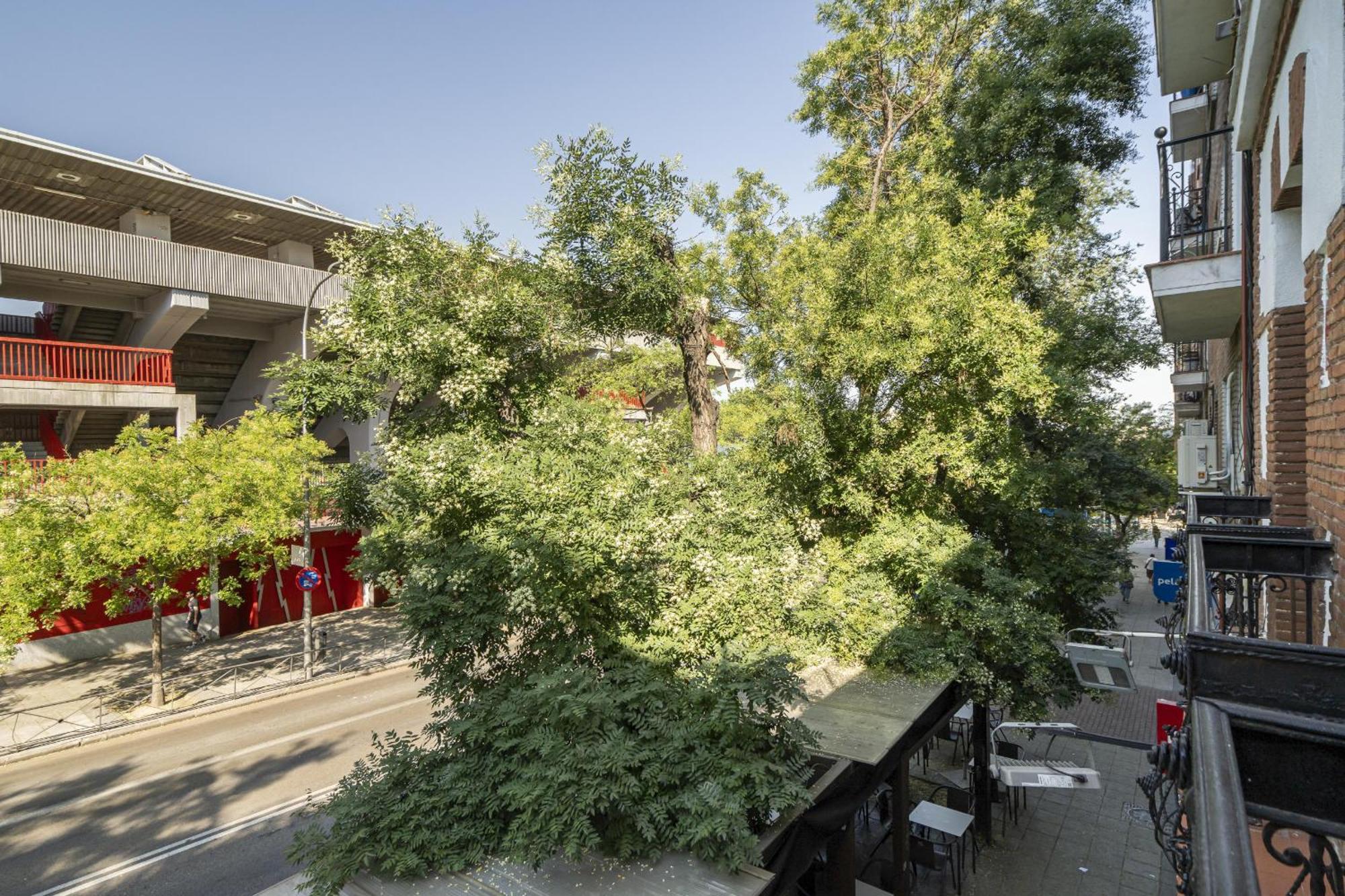 Apartamentos En La Avda De La Albufera Alquiler Temporal Madrid Bagian luar foto